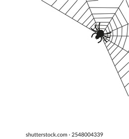 Spider web. Halloween background. Spiderweb vector illustration. Black spider web isolated on white background. Cobweb silhouette.