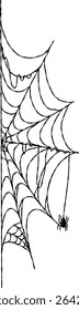 Spider web For Halloween frame Decoration, Halloween spider web and spiders isolated on white background