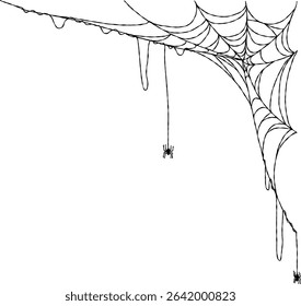 Spider web For Halloween frame Decoration, Halloween spider web and spiders isolated on white background
