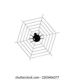 spider web halloween holiday design of postcards posters