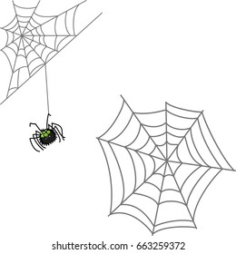 Spider and web. Halloween icon isolated on white background. Cartoon style vector illustration