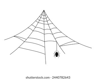 spider web, halloween spiderweb and spider hanging