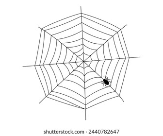 spider web, halloween spiderweb and spider hanging