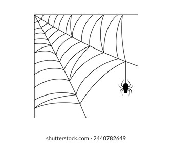 spider web, halloween spiderweb and spider hanging