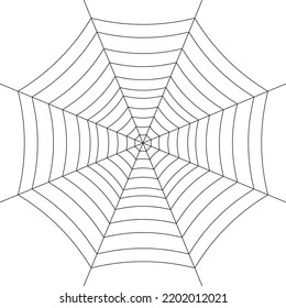 Spider web. Halloween spiderweb vector illustration. Cobweb.