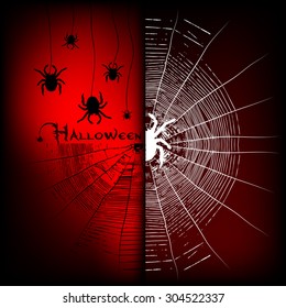 Spider and Web Halloween. Vector