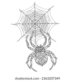 Spider and web hand drawn for adult coloring book