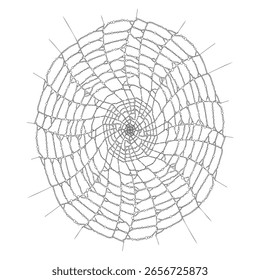 Spider web - hand drawn black and white vector illustration.