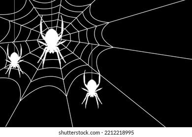 Spider web. Hand drawn cobweb. Spooky Halloween vector illustration