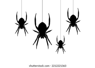 Spider web. Hand drawn cobweb. Spooky Halloween vector illustration