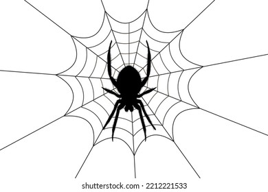 Spider web. Hand drawn cobweb. Spooky Halloween vector illustration