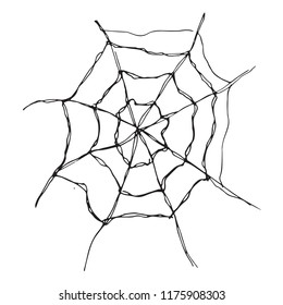 Spider web Hand drawn sketched web vector illustration isolated on white background.