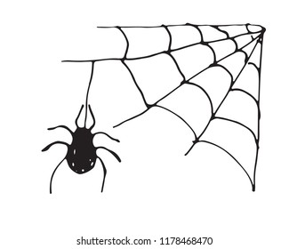 Spider web Hand drawn sketched web vector illustration isolated on white background.