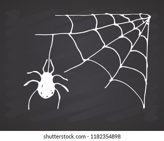 Spider web Hand drawn sketched web vector illustration on chalkboard background.