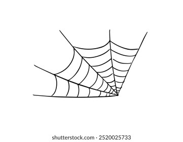 Spider web. Hand drawn spiderweb. Halloween decoration element illustration.