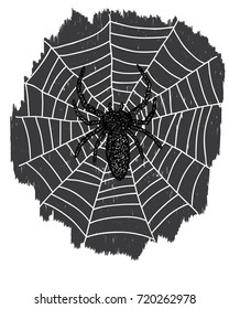 Spider and web hand drawn vector art 