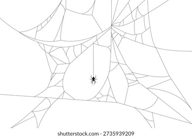 Spider web with a spider hanging from a web isolated on white background. Vector illustration