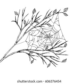 The spider web hangs between the branches. Indian summer. Monochrome sketch. Black isolated on white background. Hand drawn vector Illustration.