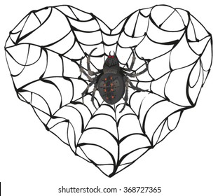 Spider web of heart shape. Isolated on white illustration
