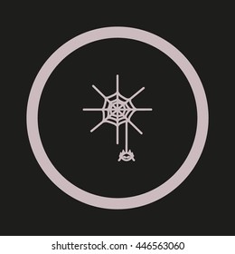 spider, web, icon