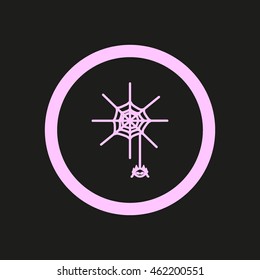 spider, web, icon
