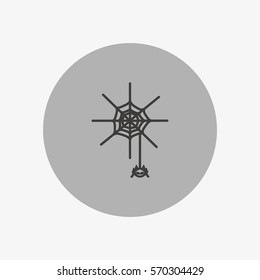 spider, web, icon
