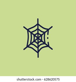 spider web icon