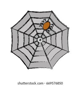 spider web icon 