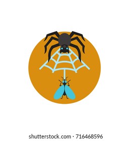 Spider web icon