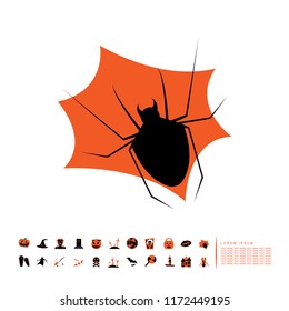 spider web icon flat design