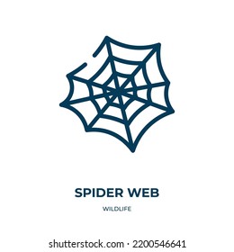 Spider web icon. Linear vector illustration from wildlife collection. Outline spider web icon vector. Thin line symbol for use on web and mobile apps, logo, print media.