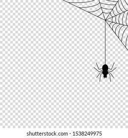 Spider web icon mock up vector illustration isolated