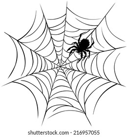 Spider and Web illustration.