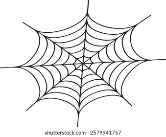 Spider web illustration, spider web