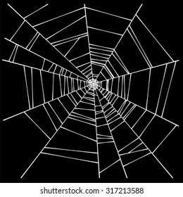 spider web illustration 