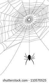 spider web illustration, for background.