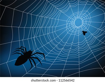 spider web illustration, for background.