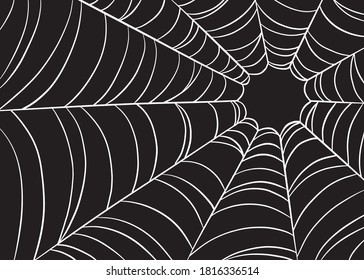 Spider web illustration. Black and white graphic. Hand drawn vector illustration.