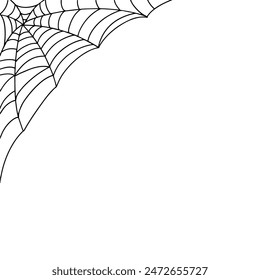 Spider web illustration decorative background