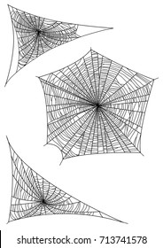 Spider web illustration, drawing, engraving, ink, line art, vector