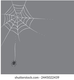 Spider web illustration gray background material