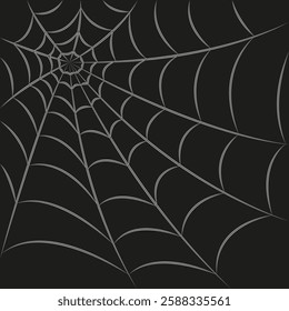 Spider web illustration. Spider web isolated on dark background. Spider web outline illustration. EPS 10.