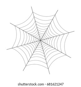spider web illustration on white