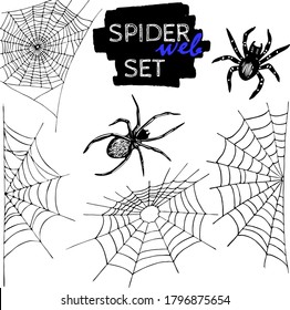 Spider web and spider illustration set, isolated on white background. Halloween design vector elements collection.