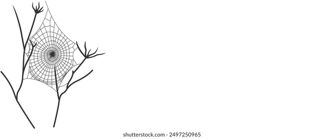 spider web illustration vector design, for halloween day