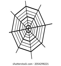 Spider web Insect cobweb spiderweb Halloween