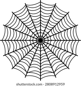 A spider web with intricate design on a white background