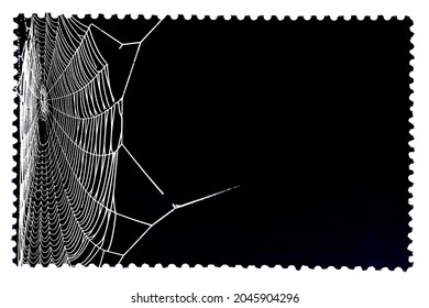 Spider web isolated on black postage stamp. Cobweb frame. Halloween party design. Texture of spiderweb. Scary Halloween decoration. Gothic style. Copy space. Vector black and white illustration