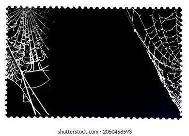 Spider web isolated on black postage stamp. Cobweb frame. Halloween party design. Texture of spiderweb. Scary Halloween decoration. Gothic style. Copy space. Vector black and white illustration
