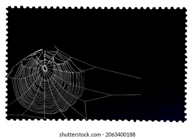 Spider web isolated on black postage stamp. Cobweb frame. Halloween party design. Texture of spiderweb. Scary Halloween decoration. Gothic style. Copy space. Vector black and white illustration